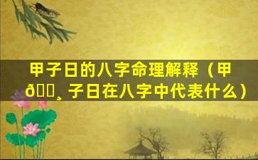 甲子日的八字命理解释（甲 🌸 子日在八字中代表什么）